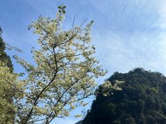 -雁荡山雁湖景区