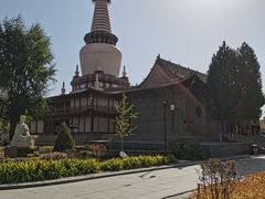 -张掖大佛寺景区