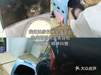 小财迷喊你进店砸金蛋发大财啦 冲鸭