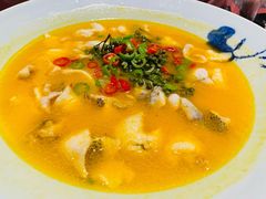 瓜苗青花椒浸鱼片-万达瑞华酒店·品珍中餐厅