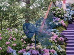 -上海滨江森林公园