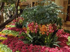 -拉斯维加斯永利酒店