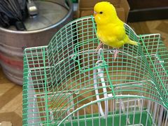 -段氏龙虾·烧烤·烤鱼(东书房路店)