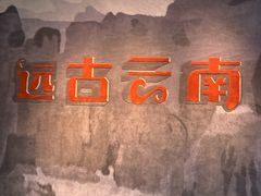 -云南省博物馆
