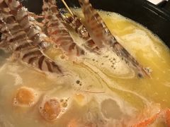 -鲜入围煮花胶鸡海鲜火锅