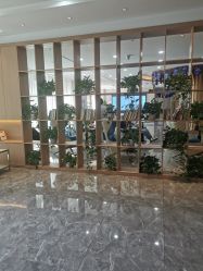-碧莲盛·不剃发植发