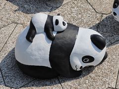 -星光大道