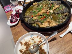 -老板恋上鱼(恒隆广场店)