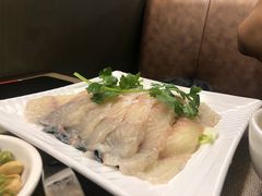 鳝鱼-金海阁海鲜火锅