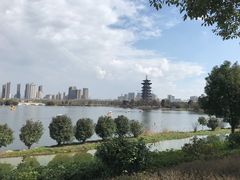 -洋湖国家湿地公园