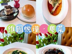-维园悦谱·海派家常菜(乌鲁木齐南路店)