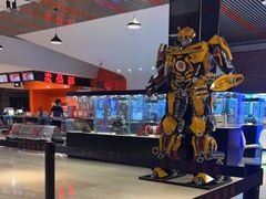 -华美国际影城(旧宫永辉店)