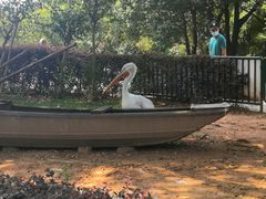 -无锡动物园·太湖欢乐园