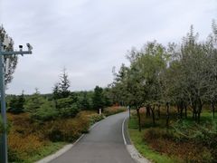 -东郊湿地公园