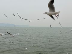 -苏州吴中太湖旅游区