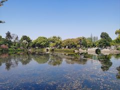 -无锡蠡湖国家湿地公园-蠡园