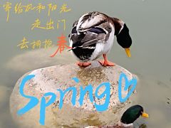 -莲湖公园