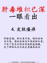 点击看大图 -玛莲朵·海菲秀冰珀科