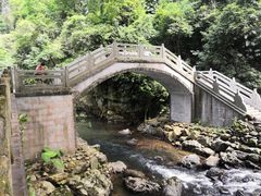 -广州市石门国家森林公园
