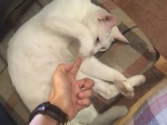 -默迹咖啡馆