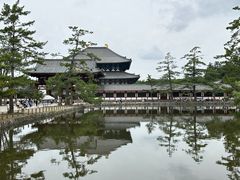 -奈良公园