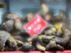 -太婆天府山珍酒楼(亚运村店)