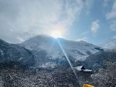 -黄龙山原始森林景区