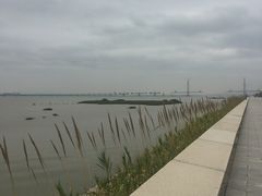 -芒洲湿地公园
