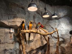 -Zoolung Zoolung动物主题公园(海信广场店)