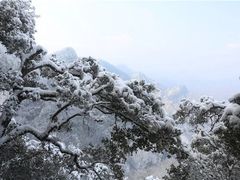 -塔云山