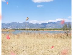 -野鸭湖国家湿地公园