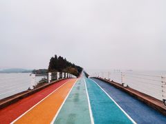-贡湖湾湿地公园
