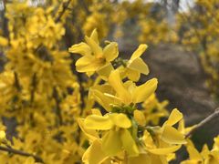 -天津东丽湖风景区