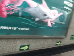 -北京站(地铁站)