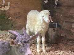 -正佳雨林生态植物园