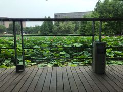 -3W咖啡(国家软件园店)
