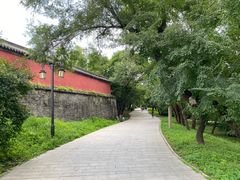 -北陵公园