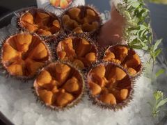 -连鹭海鲜·海肠捞饭·海胆饭(星海店)