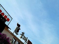 -李子坝梁山鸡(李子坝大鸡哥店)