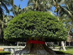 -海南清水湾莱佛士酒店