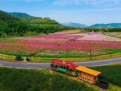 -径山花海