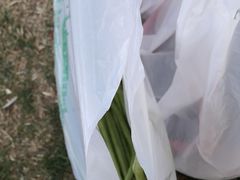 -嬉乐湾休闲旅游区