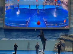 -福州罗源湾海洋世界旅游区