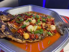 -马邦子·紫苏烤鱼(恒隆广场店)