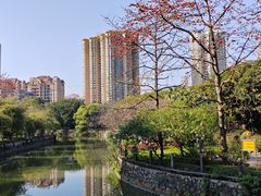 -晓港公园