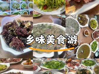 路过普洱墨江 进去觅食找到的普洱菜 位置上不太好找