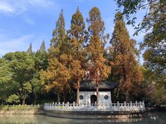 -秋霞圃