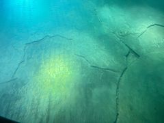 -白鹤梁水下博物馆