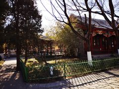 -宣武艺园