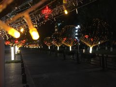 -重庆市江北嘴中央商务区中央公园